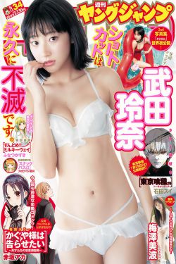 幸福一家人电视剧