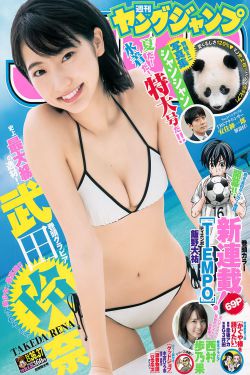 波浪号