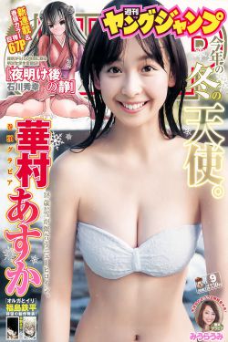 城中之城电视剧免费观看全集高清版