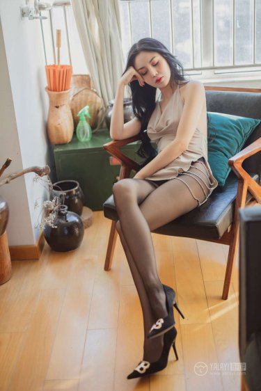 公与淑婷厨房猛烈进出演员表